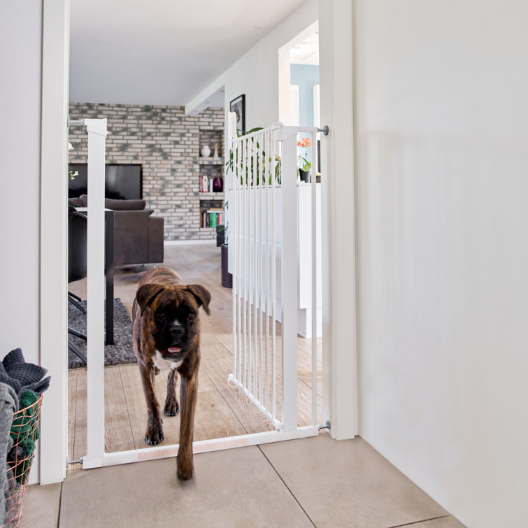 Easy open dog outlet gate